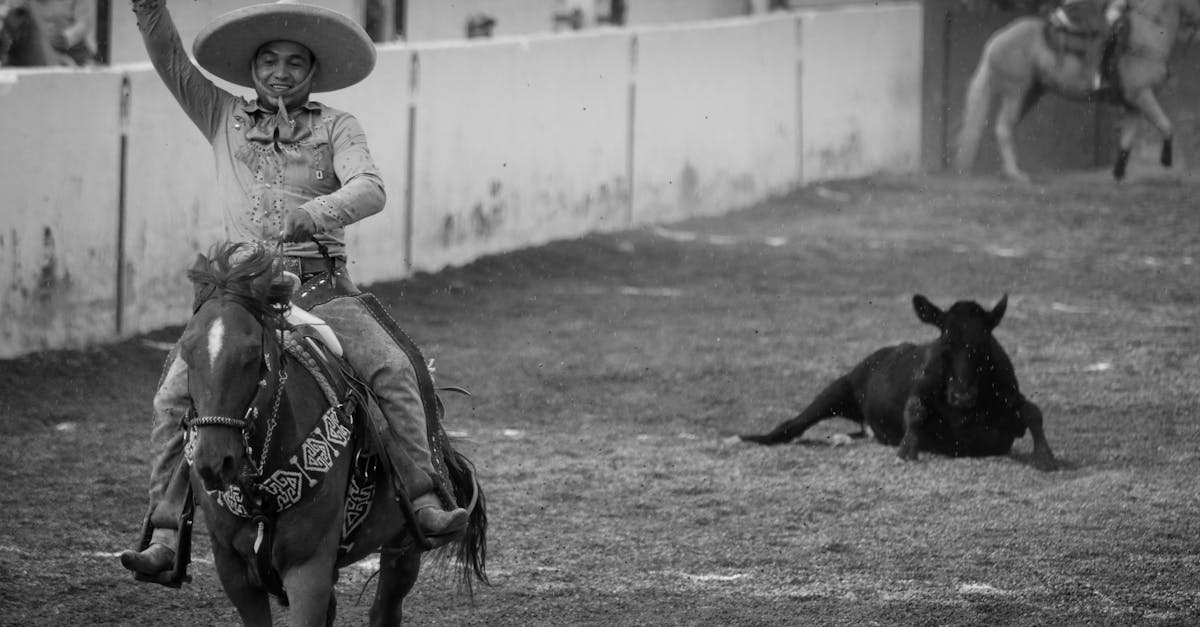 découvrez toute l’actualité sportive en temps réel : résultats, analyses, interviews et dernières informations sur vos sports préférés. restez informé avec nos news sportives au quotidien.